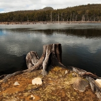 King William Lake