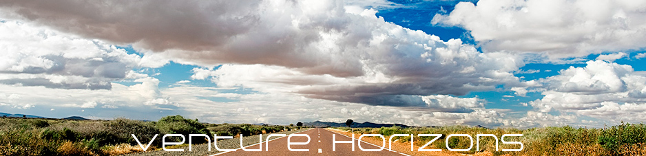Venture Horizons Newsletter Venture Horizons Newsletter