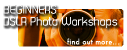 Beginner's DSLR Workshops