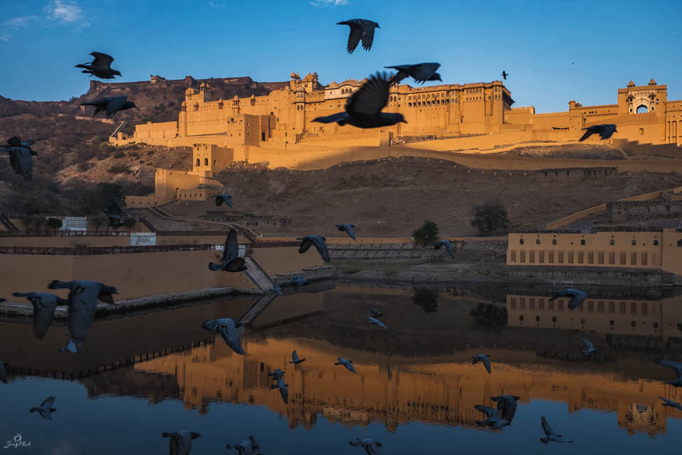 Amer Fort and Lake Maota