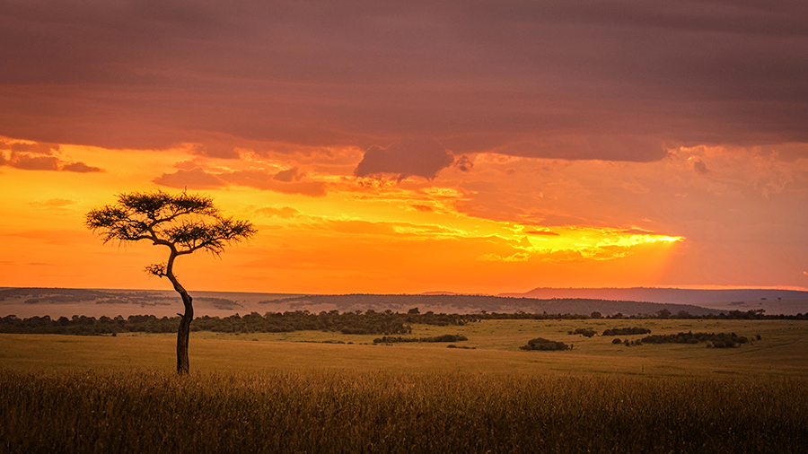 Maasai Mara sunset