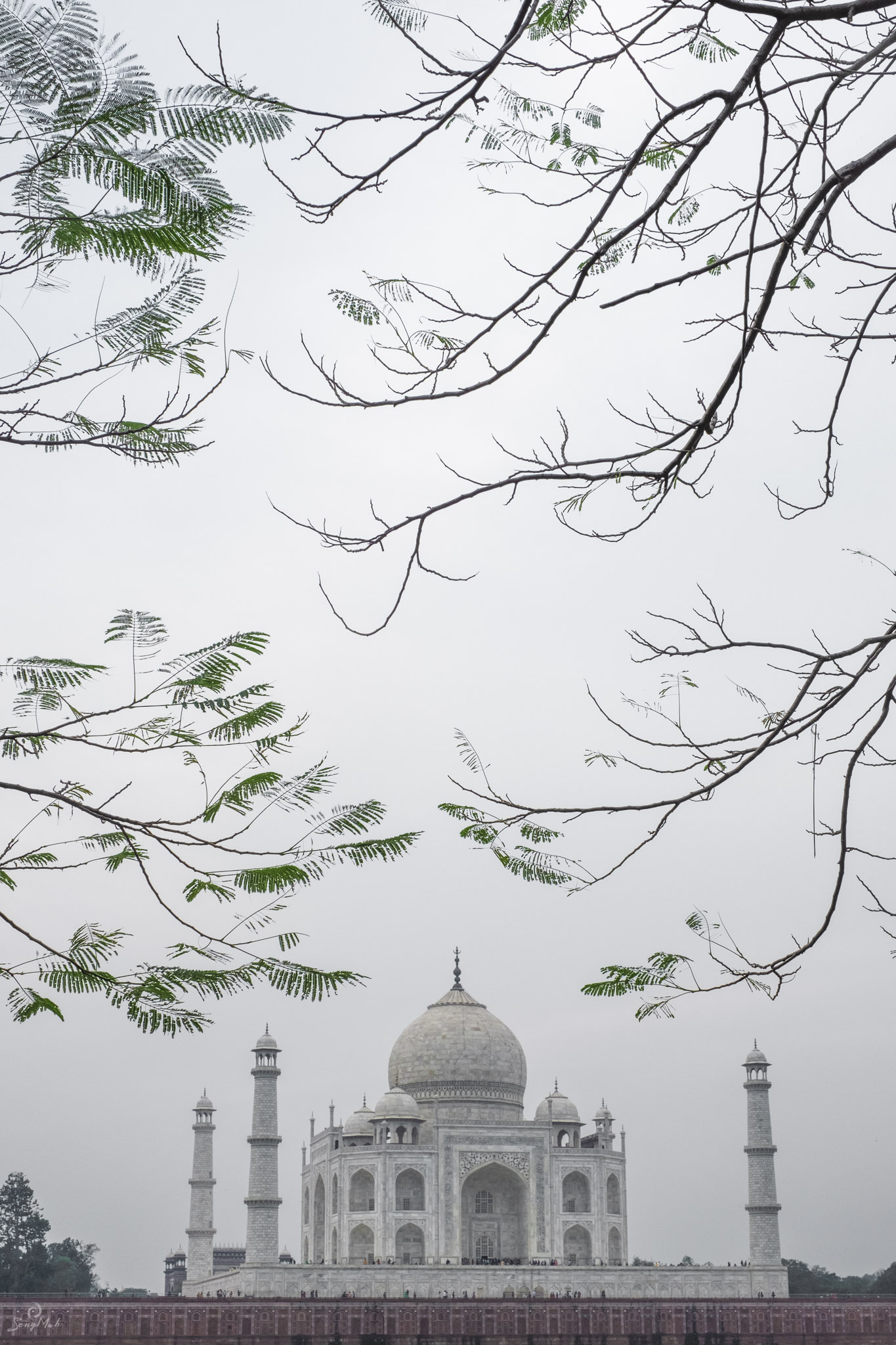 The Taj Mahal from across the Yamuna River