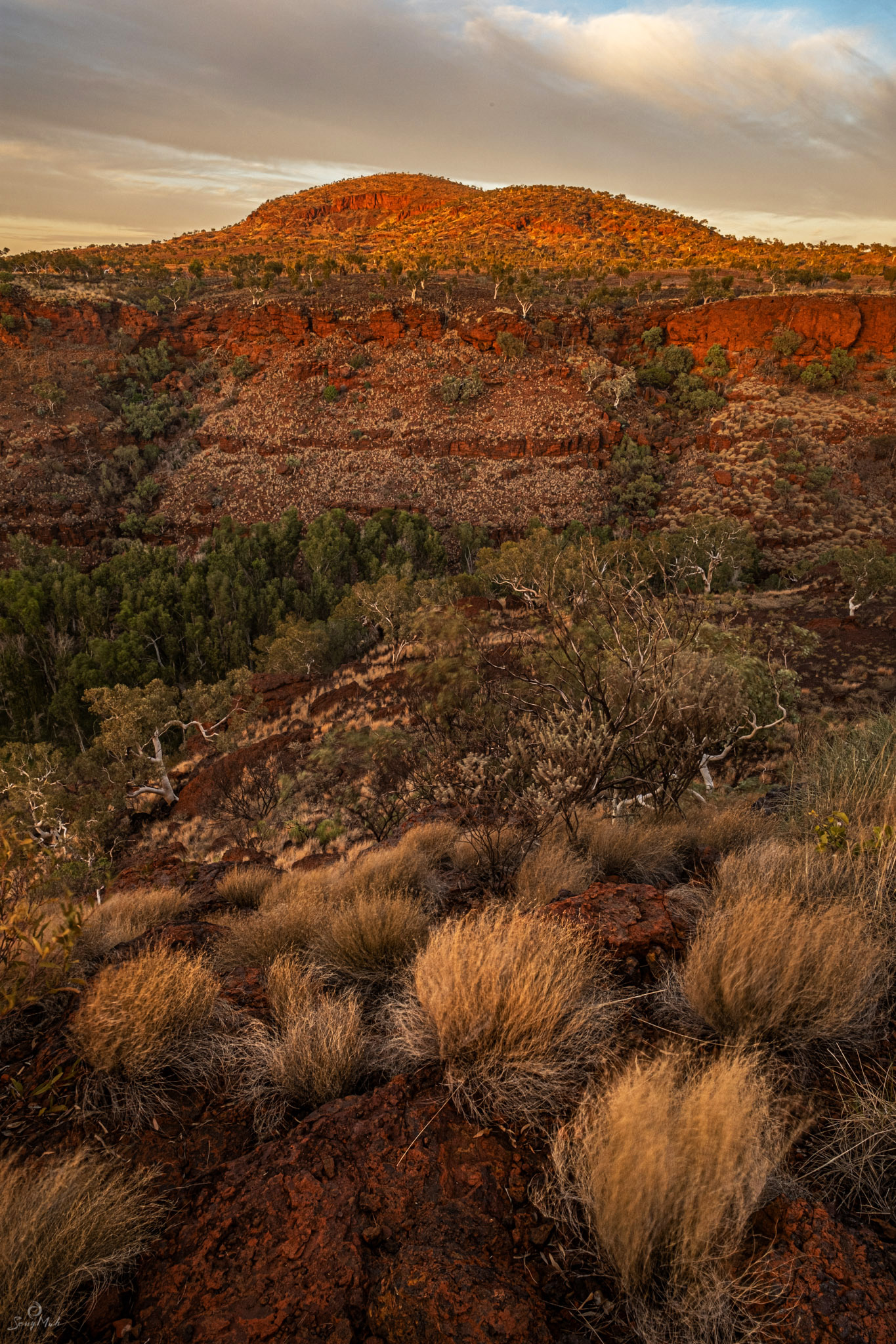 Dales Gorge Lookout