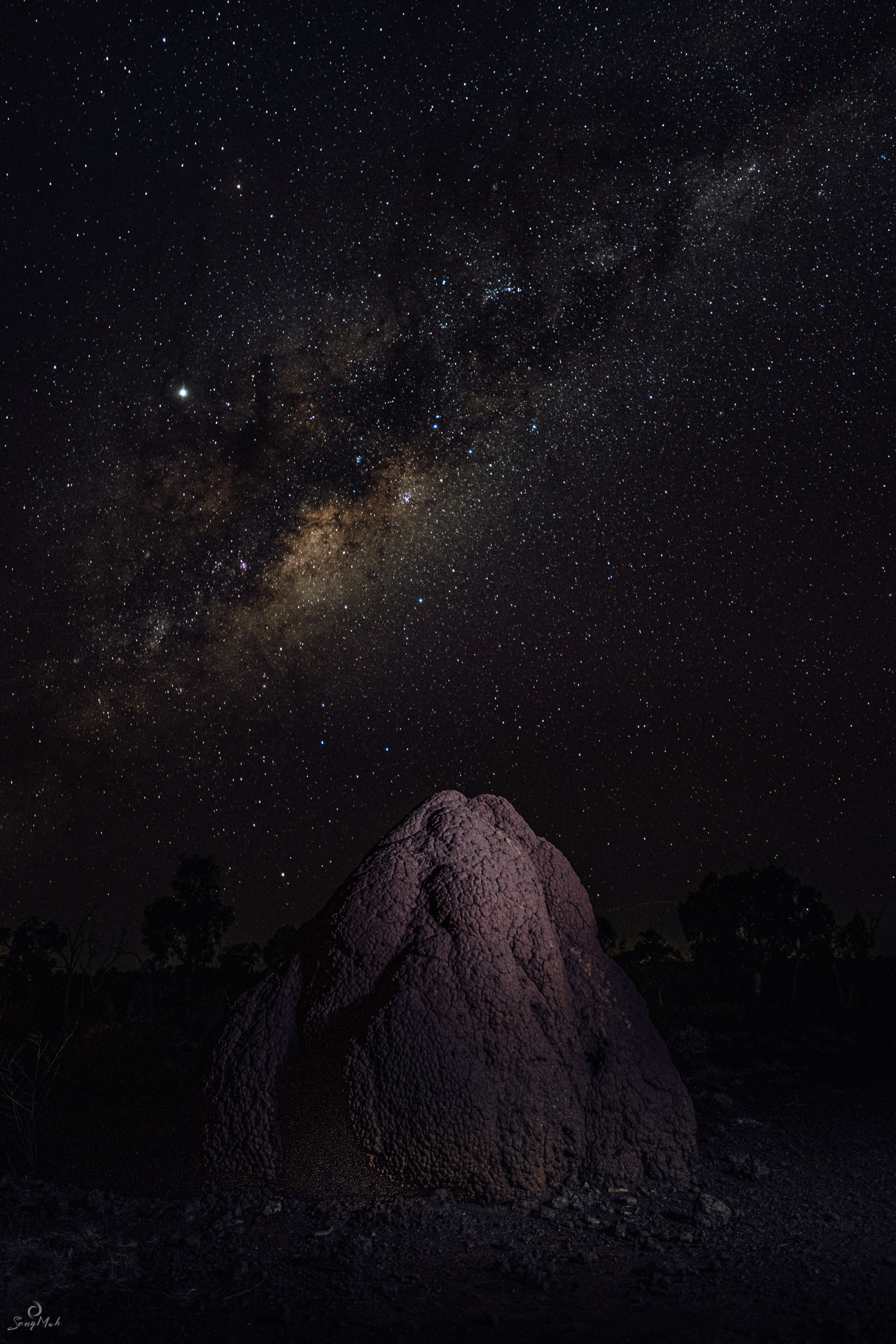 Milky way above termite mound