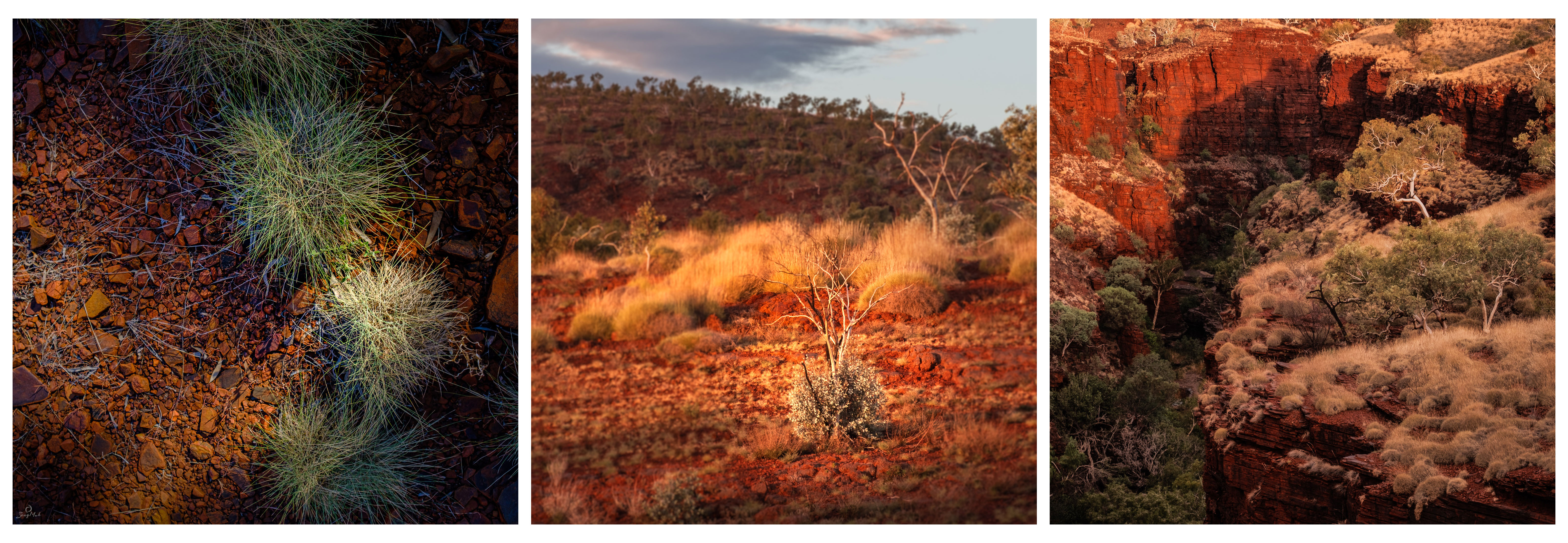 Karijini triptych landscapes