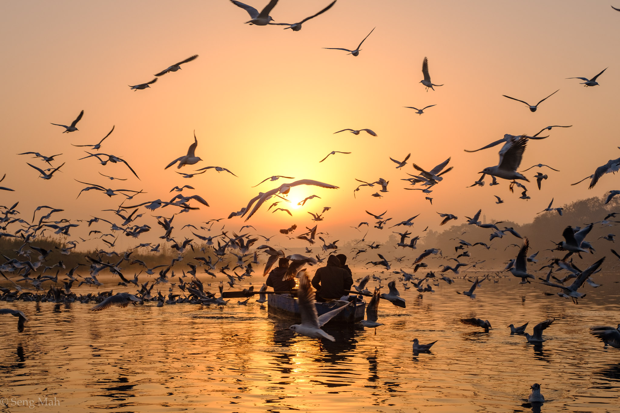 Sunrise, Yamuna River