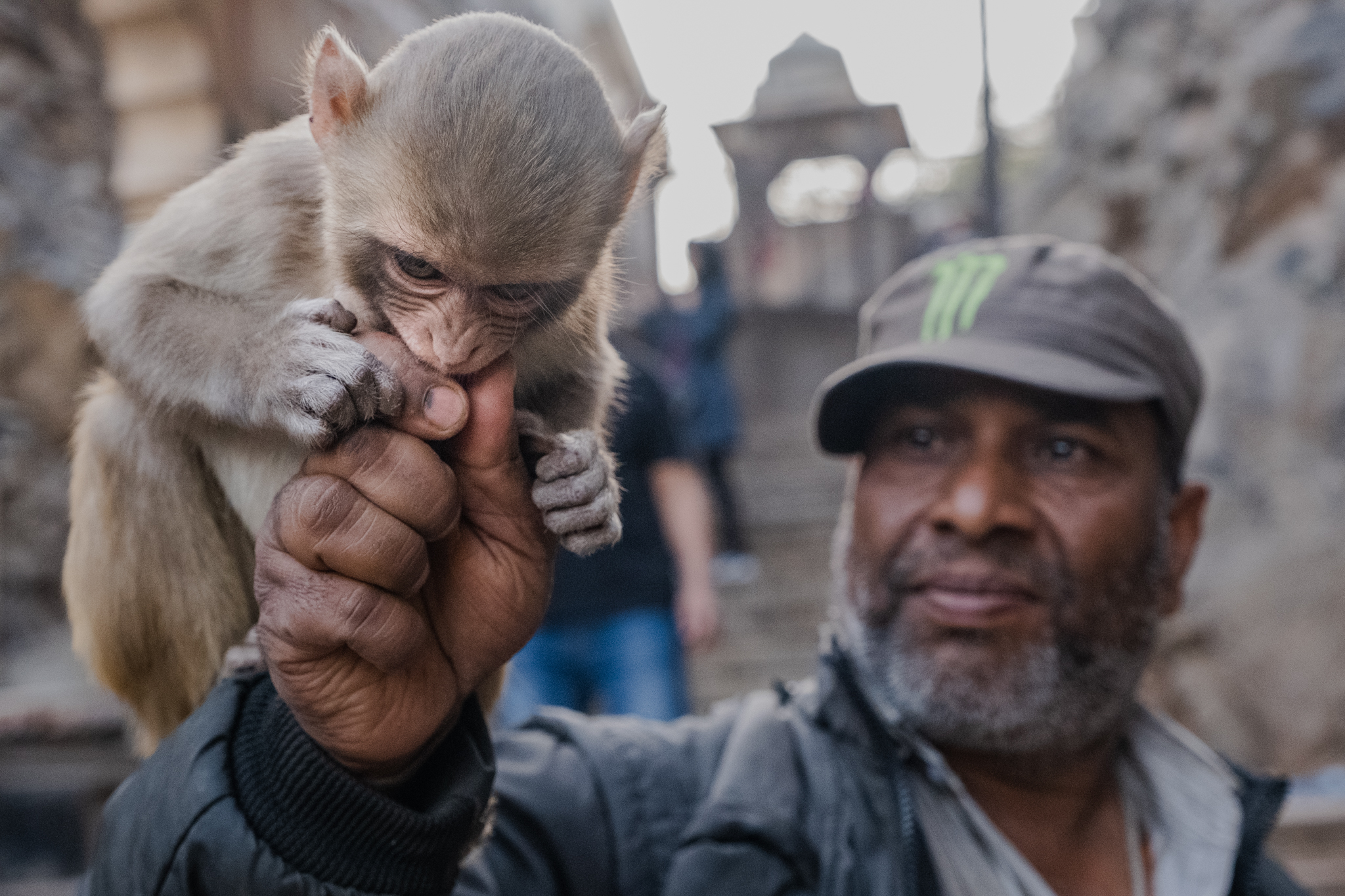 Man feeding a baby monkey