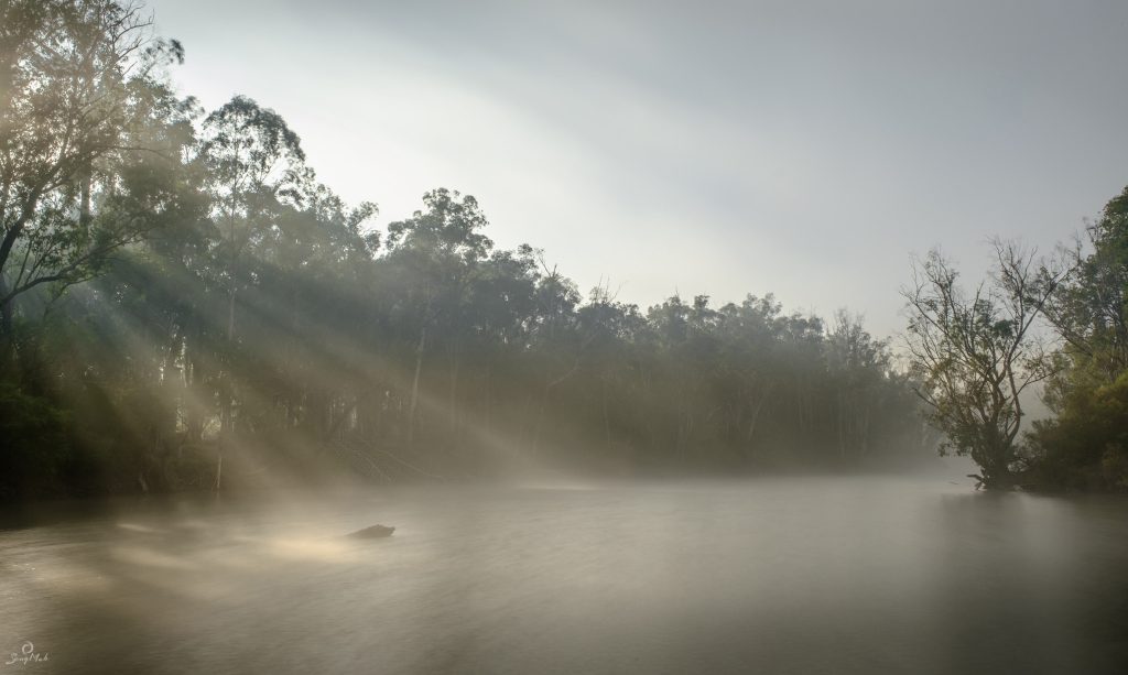 A misty morning on the Murray River in Dwellingup with shafts of sunlight filtering through trees and falling on the river.