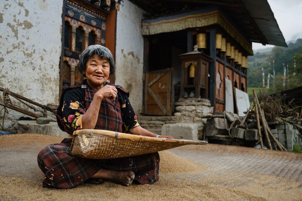 Village woman winnowing rice