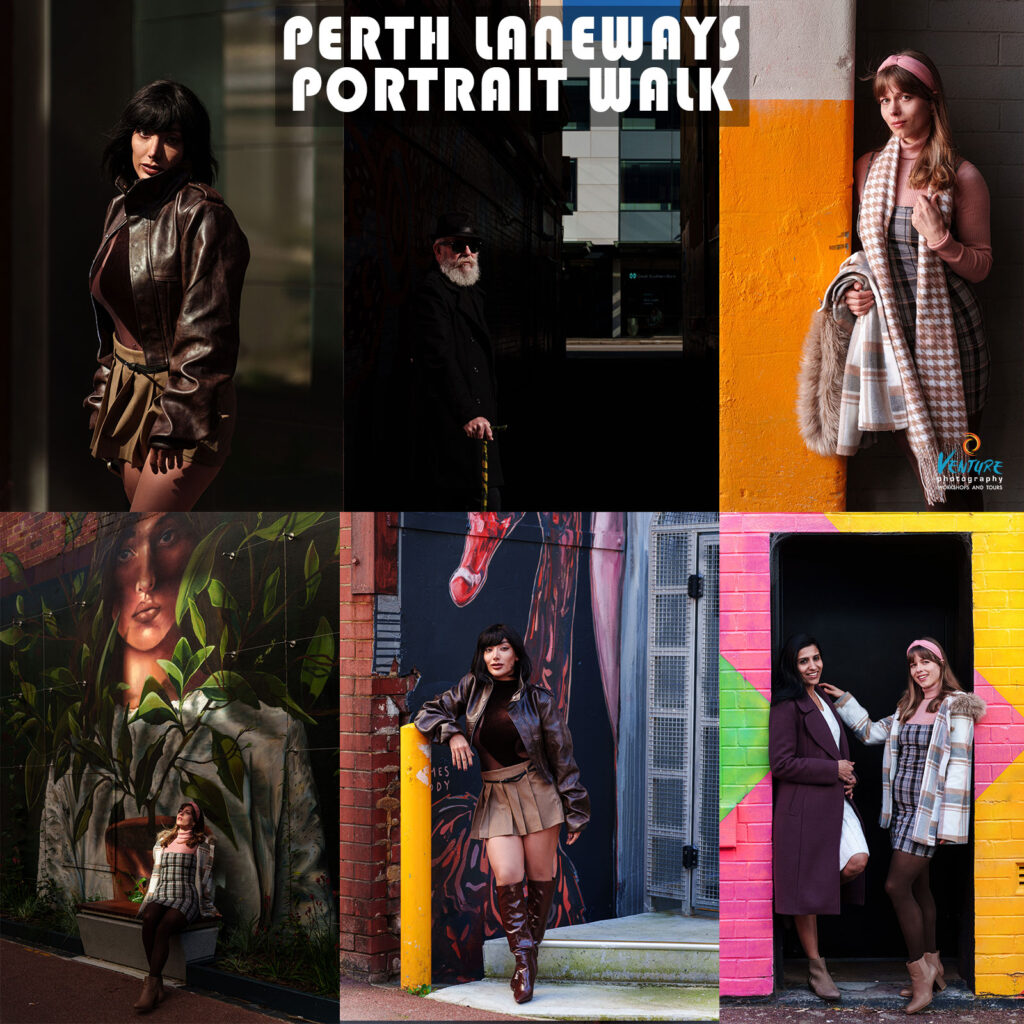 Perth Laneways Portrait Walk poster
